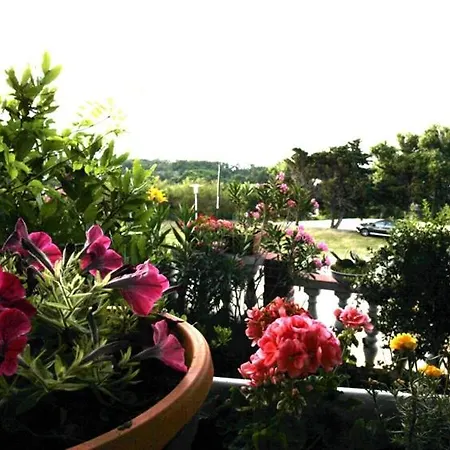 In With Sea View, Balcony, Air Conditioning, Wifi 4855-4 *